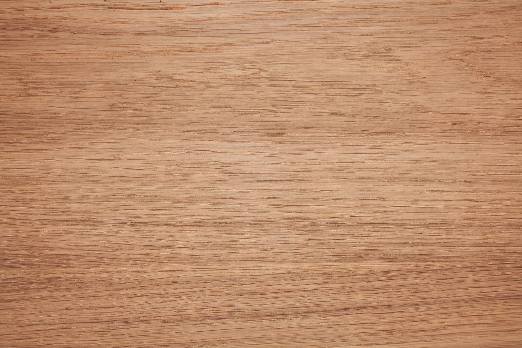 Δρυς ευρώπης